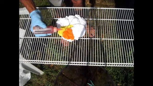 how to tye dye a smiley spirel смотреть онлайн