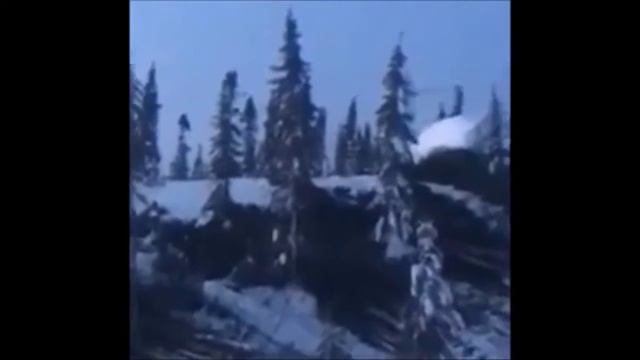 5 УНИКАЛЬНЫХ И ДОСТОВЕРНЫХ ВИДЕО С ЙЕТИ / СНЕЖНОГО ЧЕЛОВЕКА смотреть онлайн
