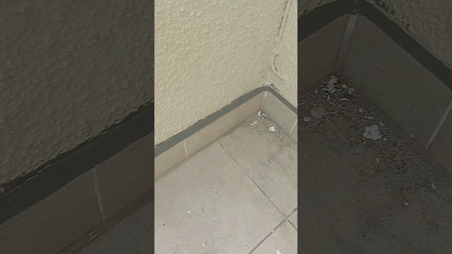 Гидроизоляция балкона в Германии смотреть онлайн