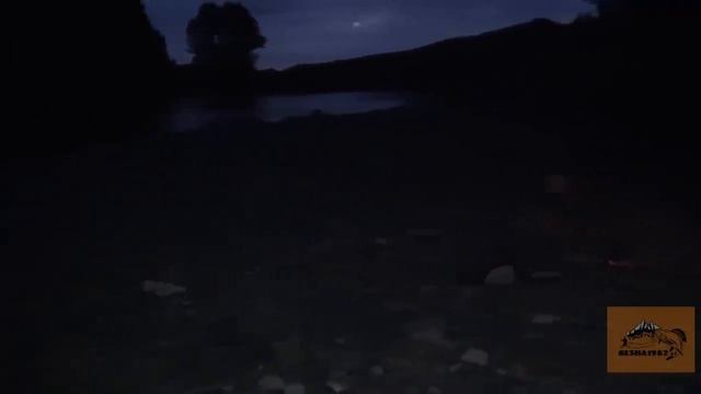 Один ночью в тайге, жгу костёр спасаясь от медведя/Рыбалка на тайменя с лодки Солар на горной реке. смотреть онлайн