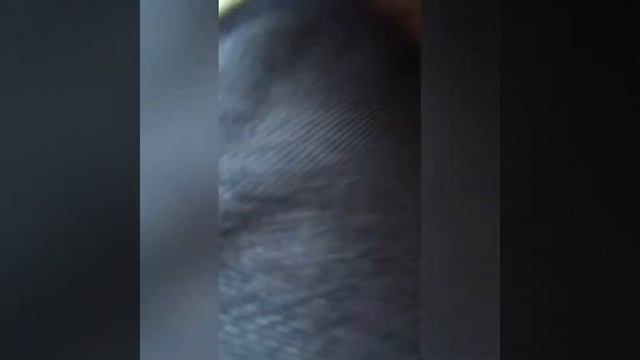 Сумка для мамы обзор #сумкадлямамы смотреть онлайн