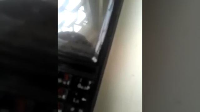 Обман - Онко центр им. Блохина на ул.Удальцова, 69 смотреть онлайн