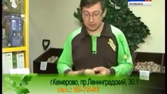 Архив ГТРК "Кузбасс". Урожайные грядки (2014) смотреть онлайн