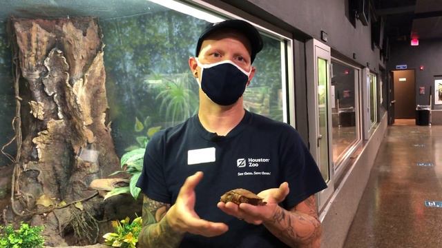 Meet Chris B. смотреть онлайн