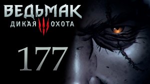 The Witcher 3 / Ведьмак 3 - Сквозь время и пространство - Прохождение игры [#177] | PC (2017 г.)