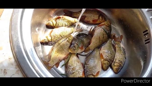 ЗОЛОТАЯ РЫБКА ?? смотреть онлайн