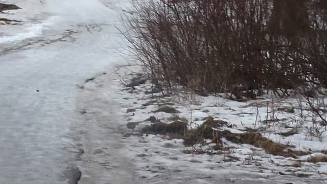 Бабаевский пруд смотреть онлайн