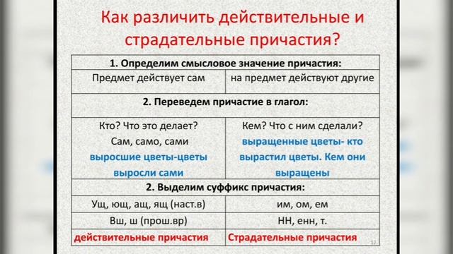 Действительные и страдательные причастия. Русский язык. 7 класс. смотреть онлайн