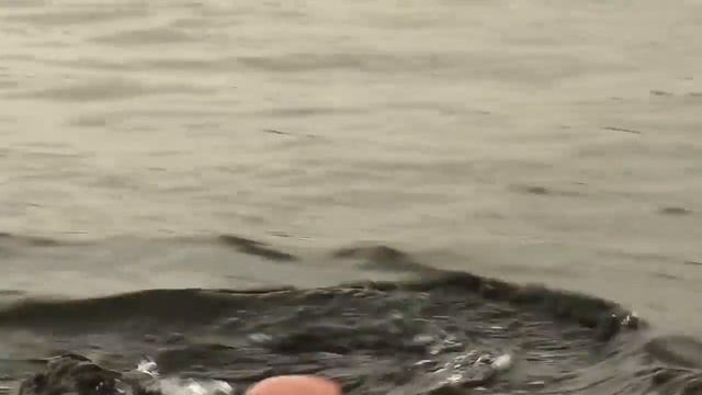 Grit The Making of a Naval Diver Ep 7 Trailer смотреть онлайн