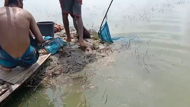 Traditional Cast Net Fishing In The Village | Unique cast net fishing 2022 | Bangla Fishing смотреть онлайн
