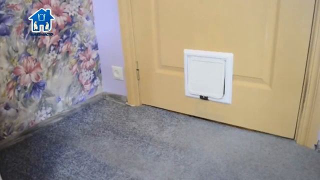 kotohod dlya dveri kupit' v moskve смотреть онлайн