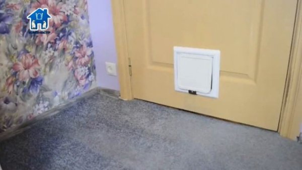 kotohod dlya dveri kupit' v moskve