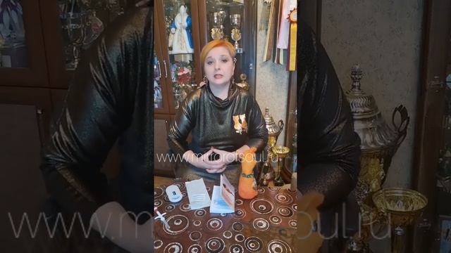 Котология от Межевцовой смотреть онлайн