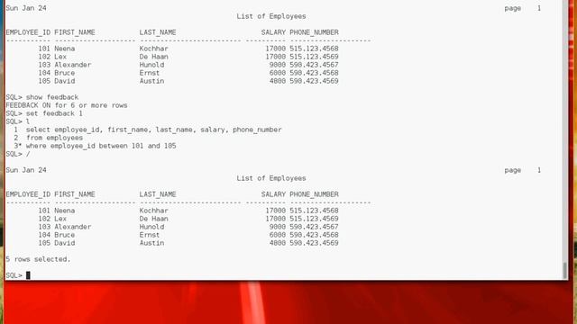 SQLPlus Formatting Commands смотреть онлайн