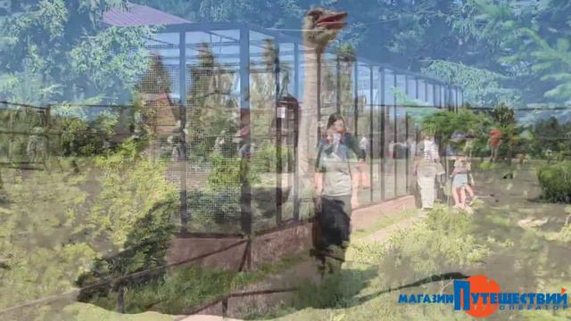 Парк Птиц смотреть онлайн