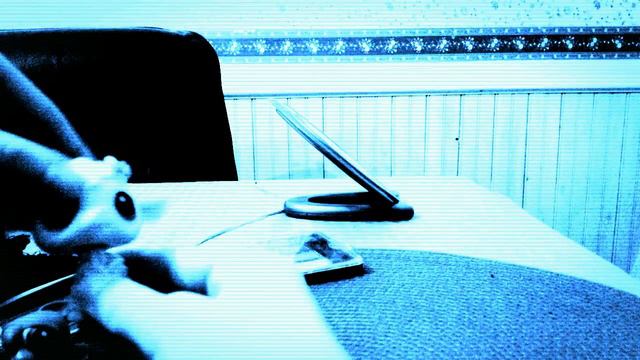 LPS Fancy смотреть онлайн