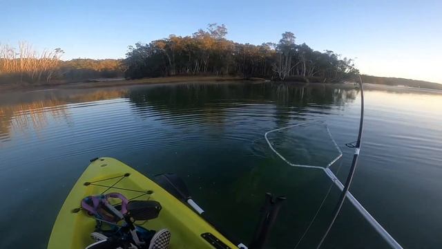 Chasing BIG Flathead on new Hobie kayak | Soft plastic lure Fishing! смотреть онлайн