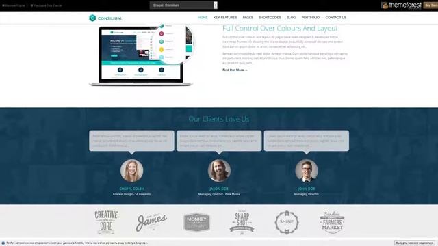Consilium - Multipurpose Creative Drupal Theme смотреть онлайн