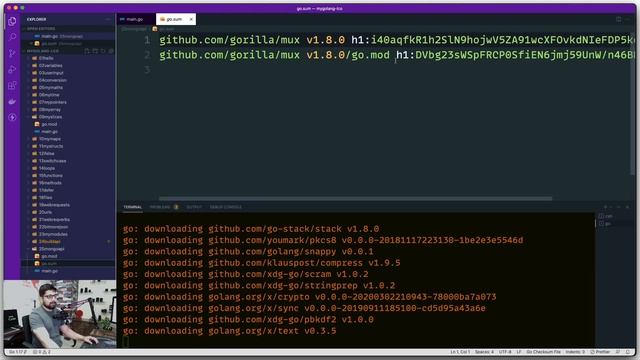 MongoDB setup for API in golang смотреть онлайн