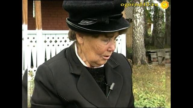 Компостная траншея для моркови. Улучшение земли простым способом. смотреть онлайн