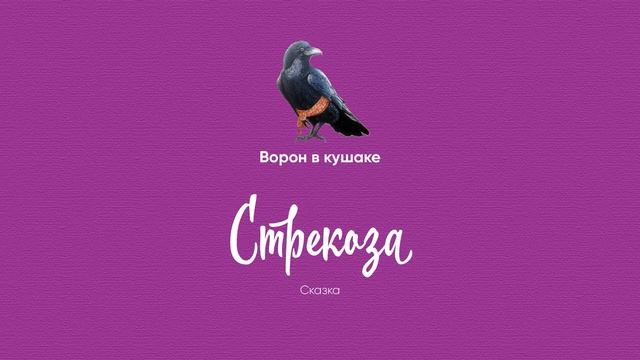 07 Стрекоза смотреть онлайн