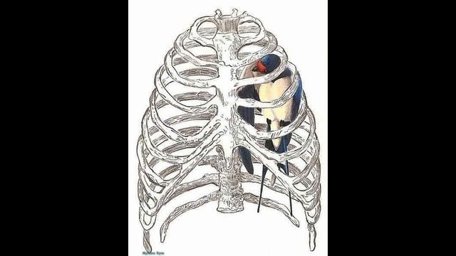 YevGenius -- Птица смотреть онлайн