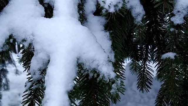 16 января-ГОРДЕЕВ ДЕНЬ.Какую защиту ждать.Не хвастайтесь.Чтобы всегда было счастье.Народные приметы смотреть онлайн