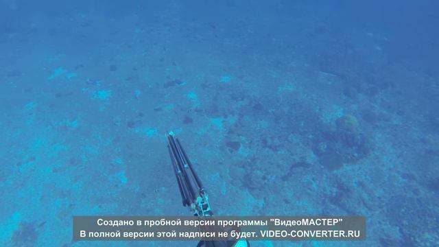 занзибар 2016 смотреть онлайн
