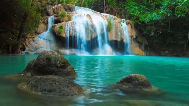 ASIA - RELAX MUSIC смотреть онлайн