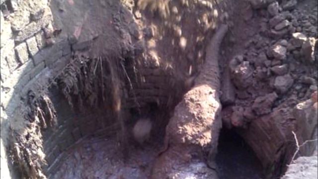 Cлoниха кoпала яму больше 11 часов, люди были в ужасе, когда увидели находку! смотреть онлайн