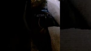 снятие и замена бензонасоса toyota gaya 1 часть