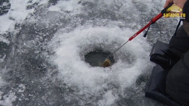Активно-пассивная снасть на ловлю щуки (жерлица) смотреть онлайн