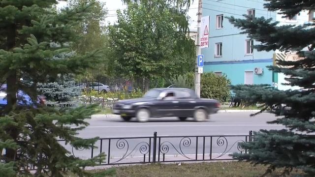 Сделай Себя Профессионалом