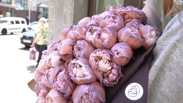 Уникальные коричневые Пионы Брауни 51 шт смотреть онлайн