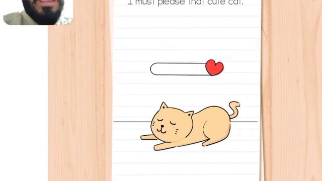 Brain Test 4 Level 45 I Must Please That Cute Cat Walkthrough