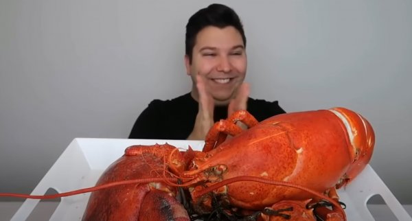 Лобстеры /Lobsters/  Почему они такие дорогие