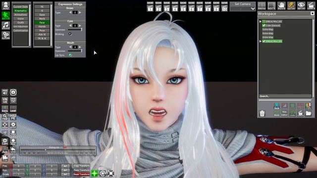 HS2 [DBLin] Vindictus Miul Head Mod