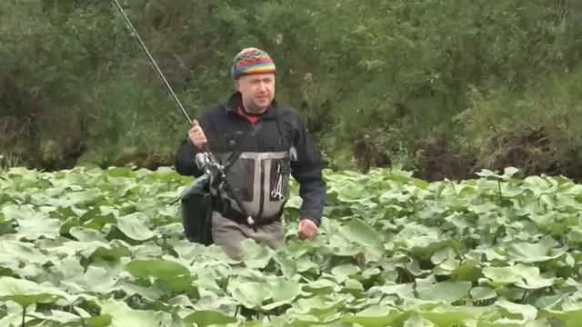 Анатолий Полотно и Федя Карманов - Счастья Вам! смотреть онлайн