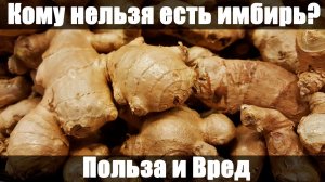 Имбирь Польза и Вред. Чем полезен имбирь? Противопоказания!