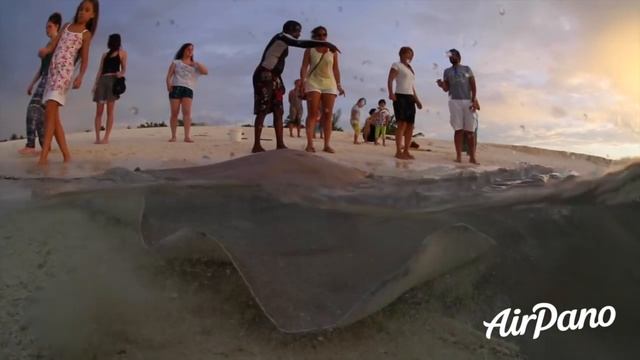 Всё, что нужно знать о скатах: советы AirPano
