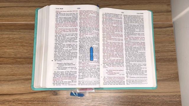 5/15/23, Psalm 132, Proverbs 15, Luke 19:1-48, 1Samuel 8:1-9:27 Old and New Testament Readings. смотреть онлайн