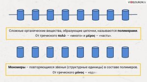 05  Уровни организации живой материи