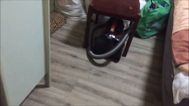 МЫ ВЕРНУЛИСЬ, МЫ СНОВА В ЭФИРЕ? Привет из Середины Ноября? Наша Дача, Цветы Октября, Прудик??? смотреть онлайн