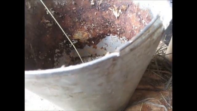 Инвентарь для откорма бычков: ведра смотреть онлайн