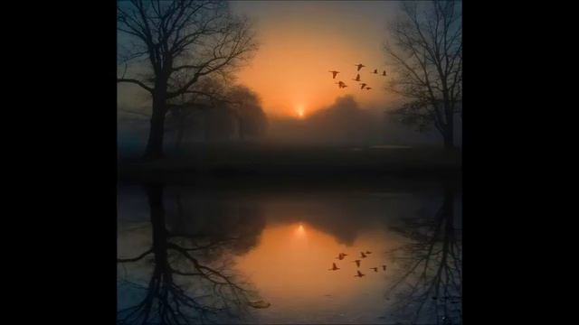 Debussy Дебюсси Clair de lune Лунный свет смотреть онлайн