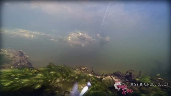 Про Рыбалку. Underwater. TIPSY & CRUEL LEECH. Crazy Fish.