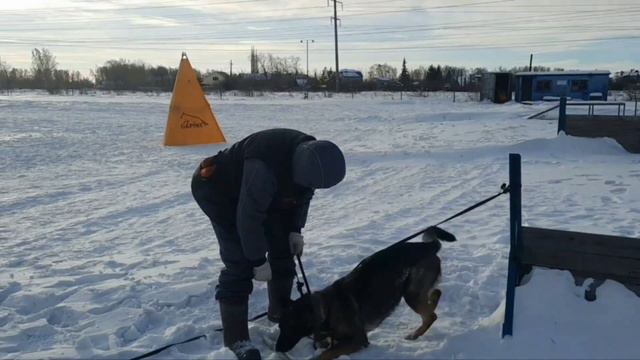 Леска, начало апортирования смотреть онлайн