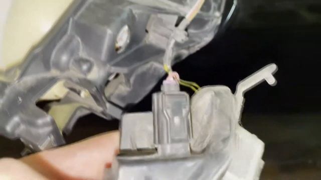 Увековечивание утраченной красоты