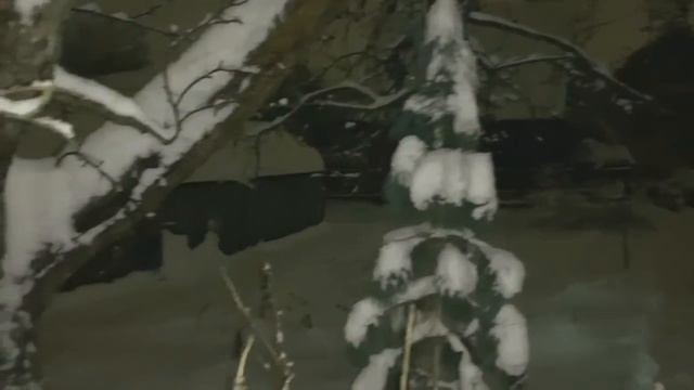 Звуки снега смотреть онлайн