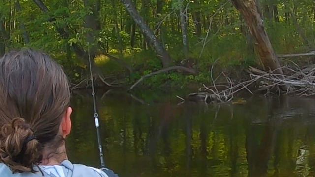 Catch More River Bass on Laydowns | Late Summer Smallmouth Fishing смотреть онлайн